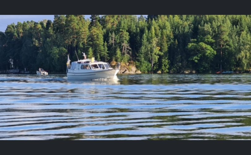 Albatross Flying 870-kuva-2